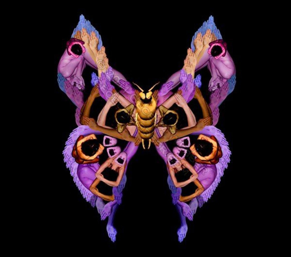 Сесилия Уэббер, картины из тел