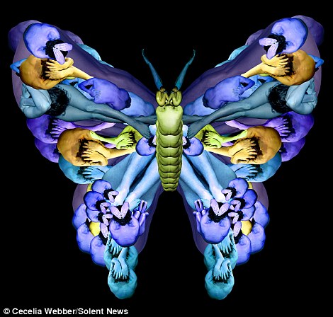 Сесилия Уэббер, картины из тел