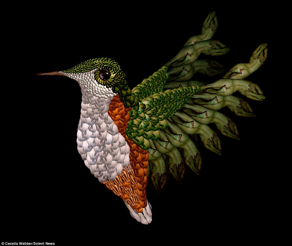 Сесилия Уэббер, картины из тел