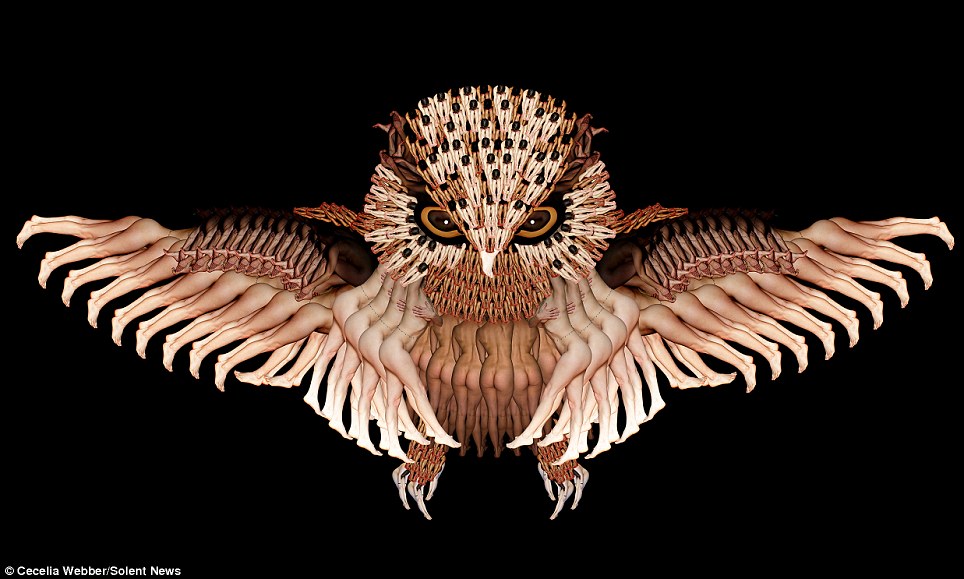 Сесилия Уэббер, картины из тел