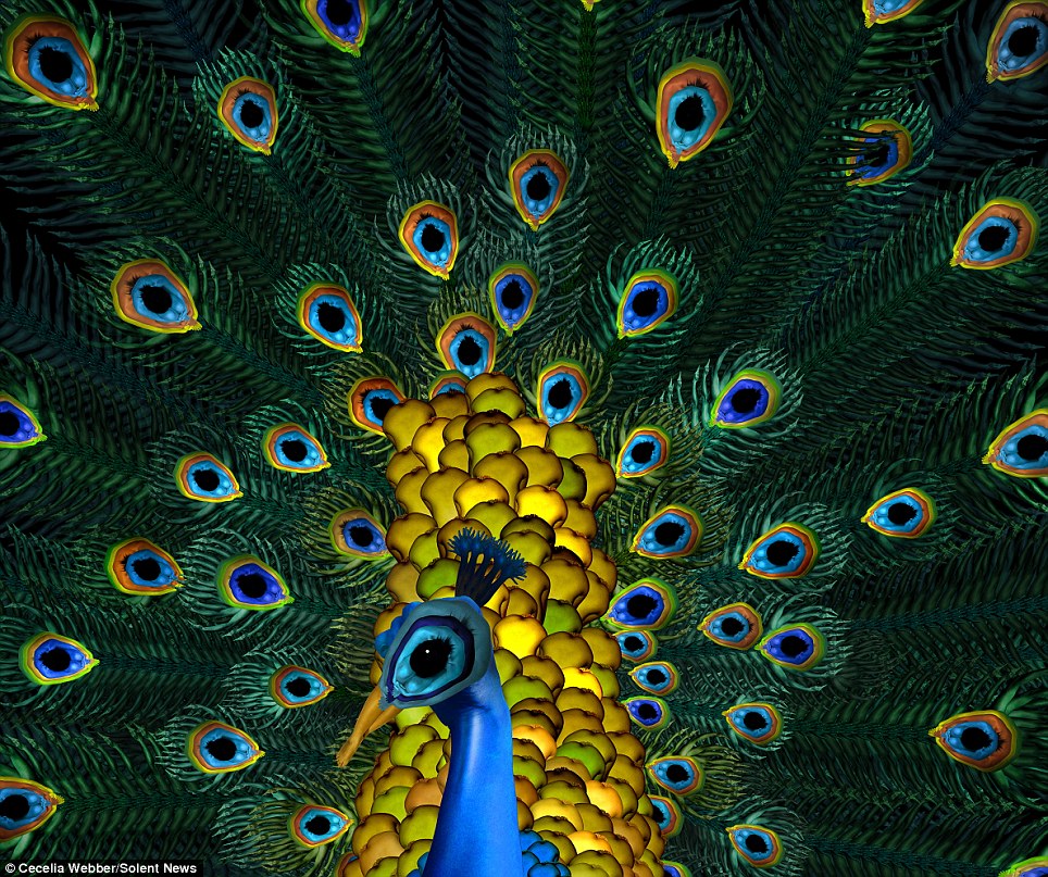 Сесилия Уэббер, картины из тел