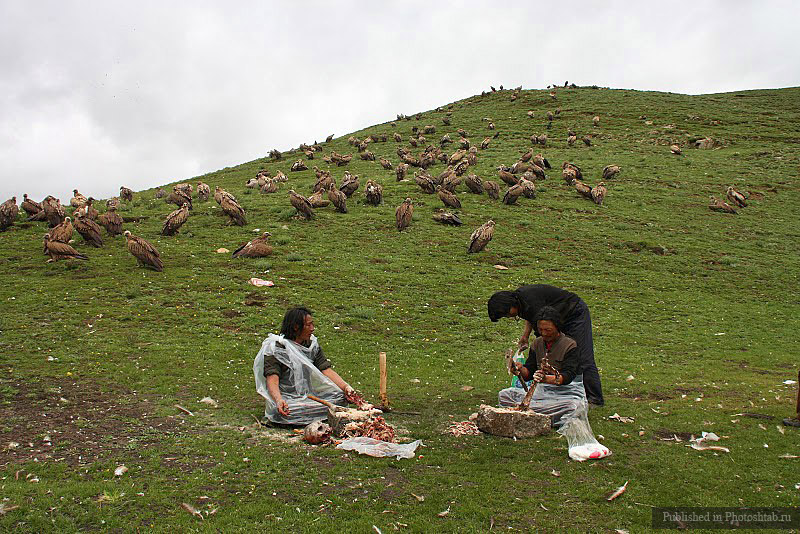 похороны,тибет, небесное погребение,ритуал