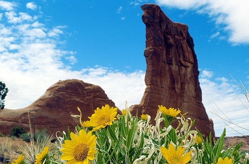 увлекательныt,необычные, места, маршруты, для свадебного путешествия
