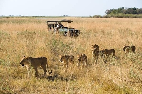 увлекательныt,необычные, места, маршруты, для свадебного путешествия