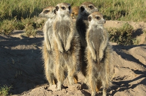 увлекательныt,необычные, места, маршруты, для свадебного путешествия