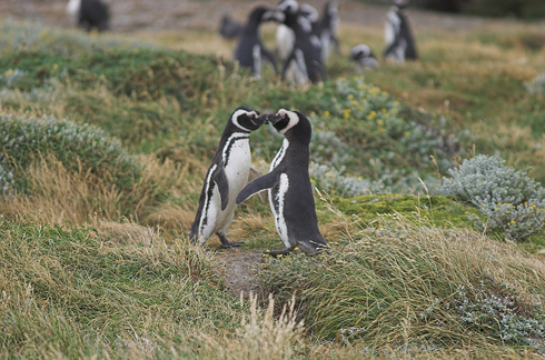 увлекательныt,необычные, места, маршруты, для свадебного путешествия