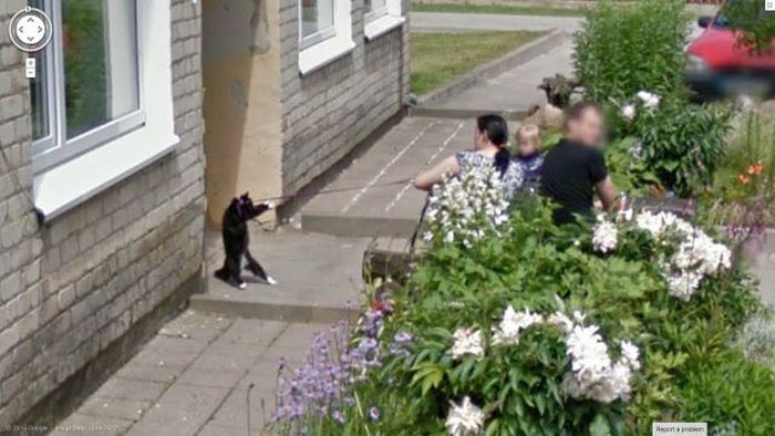 в нужный момент, поймать кадр, лови момент