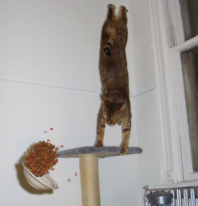 в нужный момент, поймать кадр, лови момент