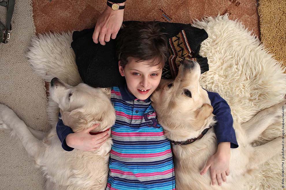дети и животные,дружбы
