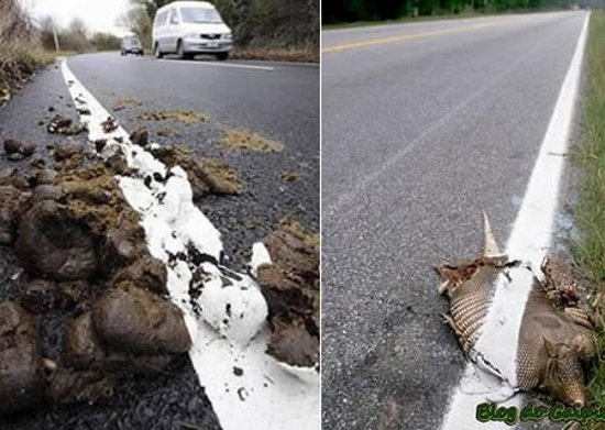 лентяи, лень, ленивые люди лайфхак