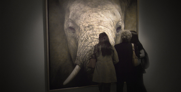 Художники, картины, фотореализм, картины не отличить от фотографий