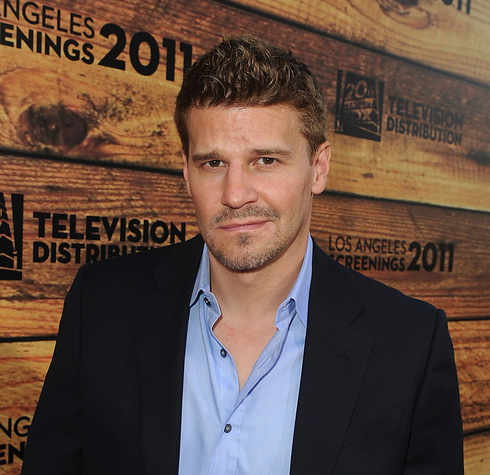 актеры, могли, сыграть, роль , джек воробей, железный человек, гарри поттер