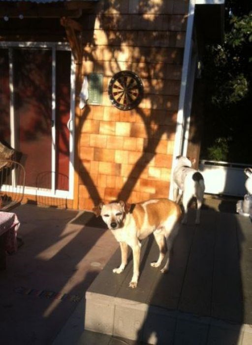 задний план,испорченные фотографии