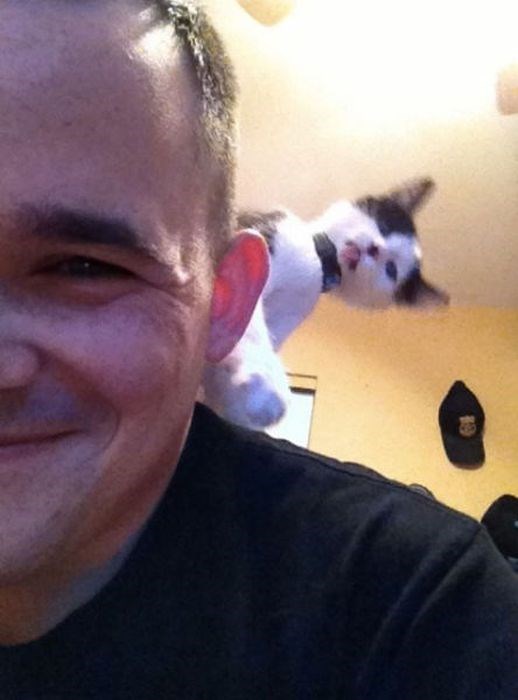 задний план,испорченные фотографии