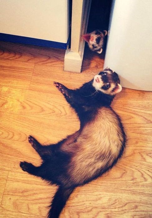 задний план,испорченные фотографии