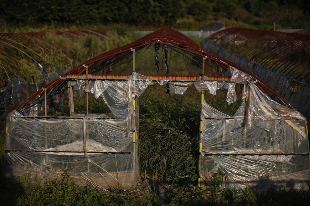 Зона отчуждения, АЭС, Фукусима, спустя 2,5 года, катастрофа, авария,  Дамир Сейголч, Damir Sagolj