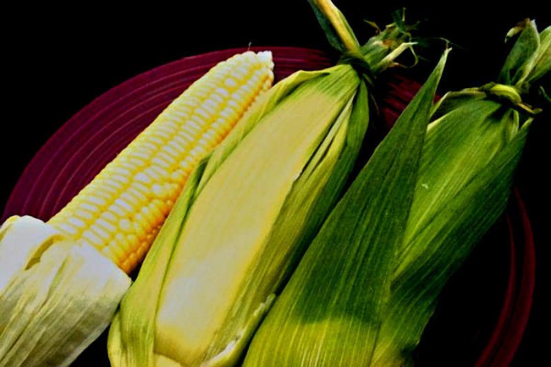 10 травяных чаев в помощь худеющим чай,похудение,советы,травы