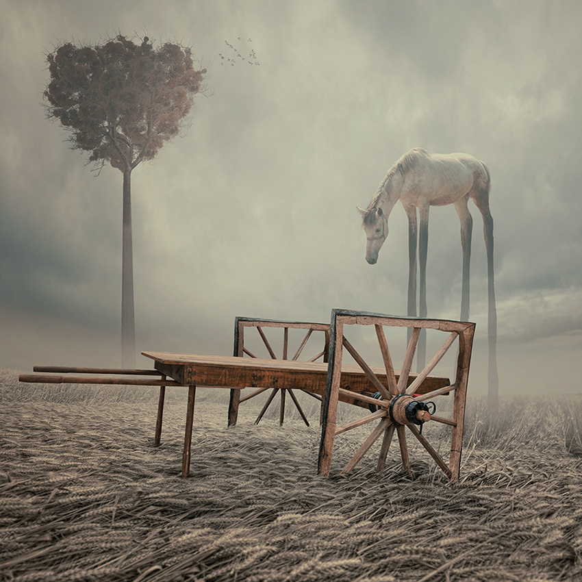  волшебство, фотоманипуляция,фотошоп, Карас Йонут, Caras Ionut, румыния