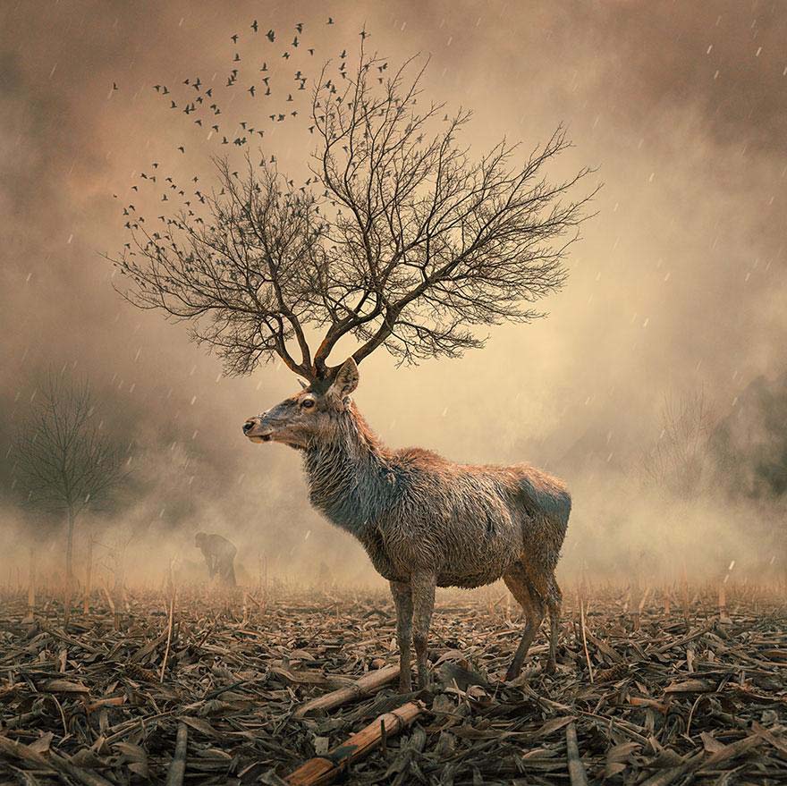 волшебство, фотоманипуляция,фотошоп, Карас Йонут, Caras Ionut, румыния