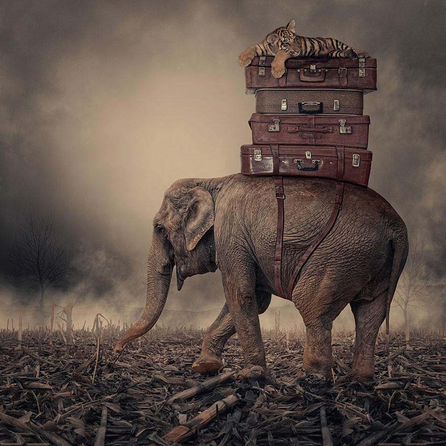  волшебство, фотоманипуляция,фотошоп, Карас Йонут, Caras Ionut, румыния