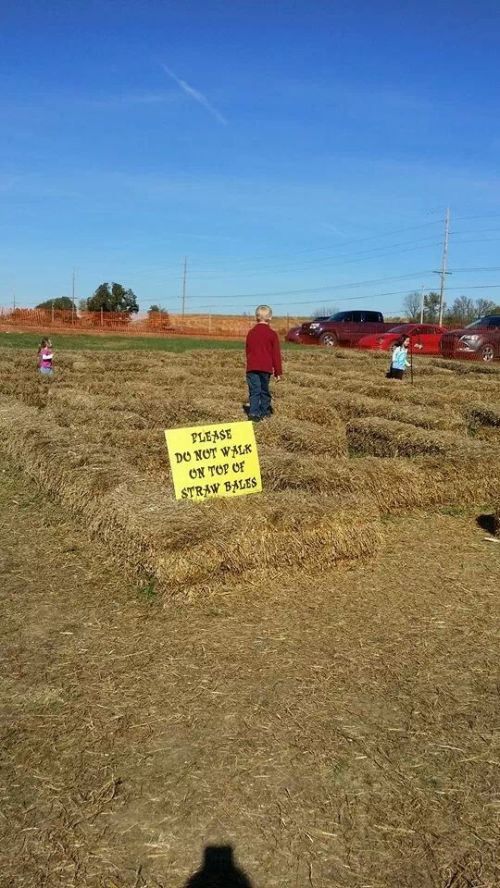 Смешные фото, люди нарушают, запреты,законы, делают что хотят