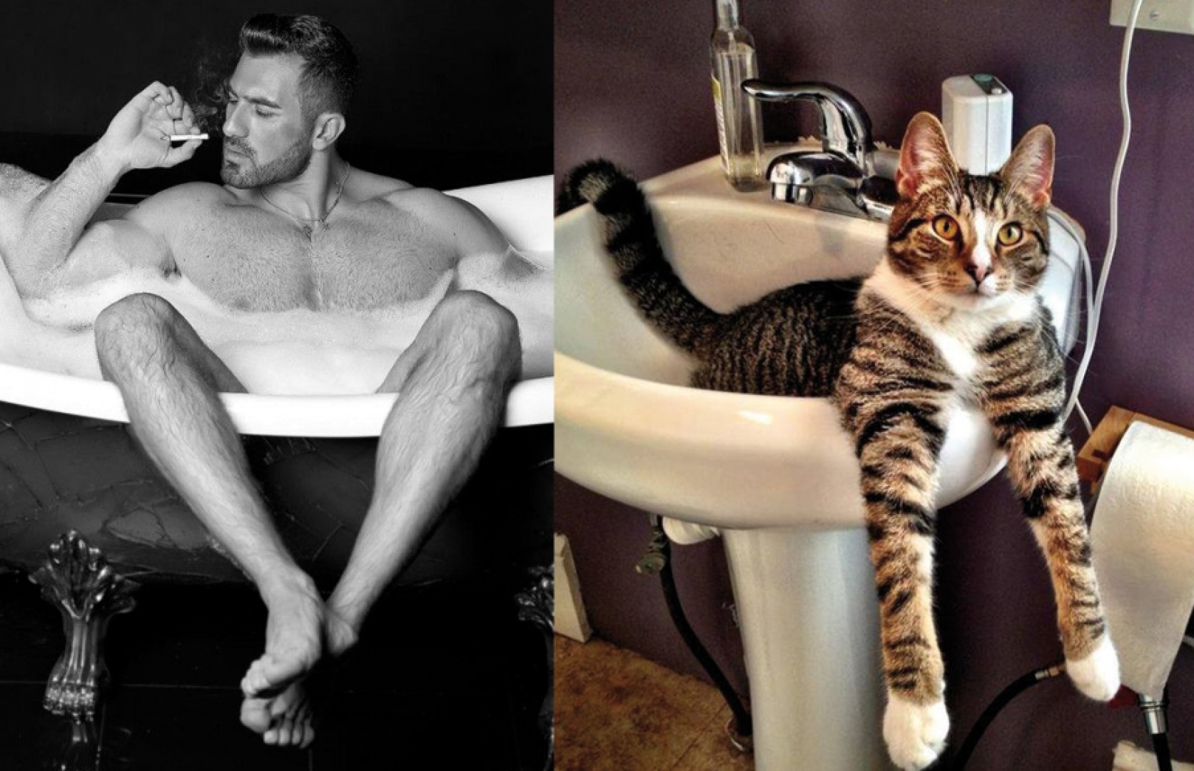 Парни похожи на котов, mans vs cats, мужчины, коты