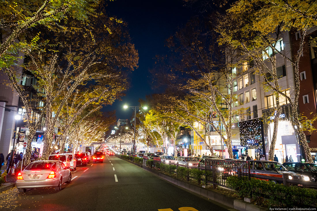 Прогулка, путешествие, Токио, Илья Варламов