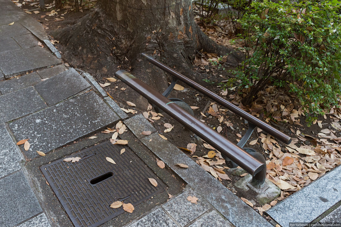 Прогулка, путешествие, Токио, Илья Варламов