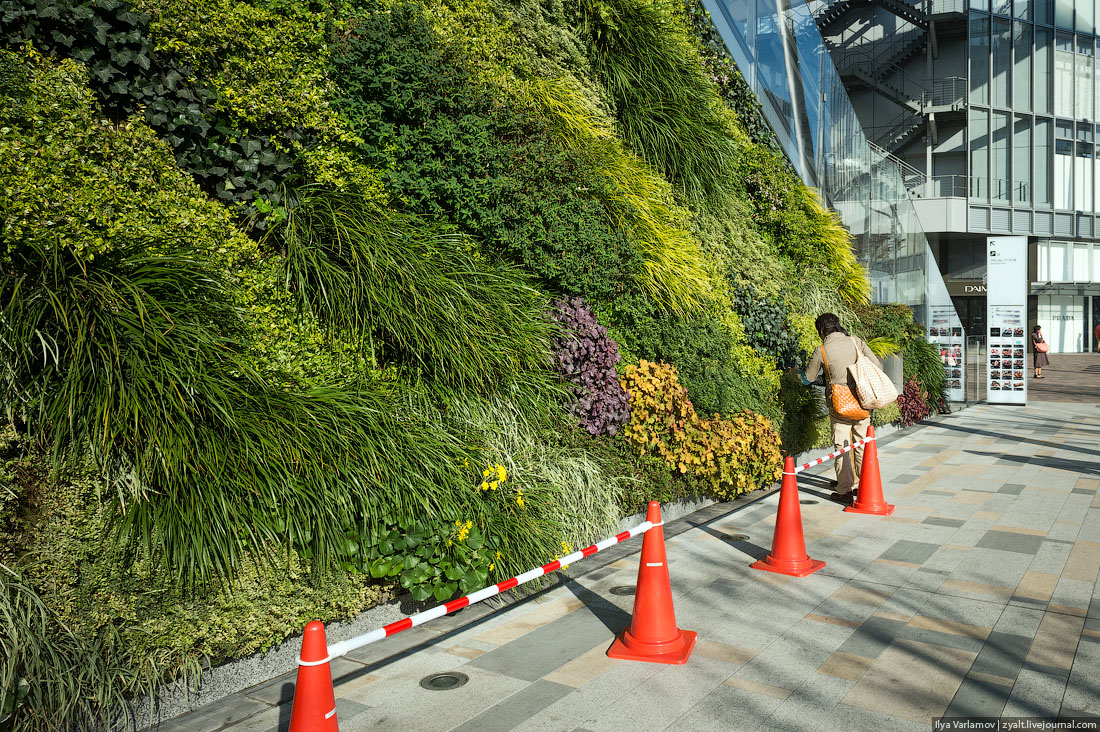 Прогулка, путешествие, Токио, Илья Варламов