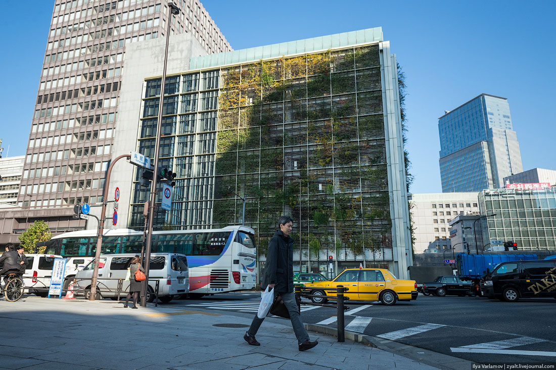 Прогулка, путешествие, Токио, Илья Варламов