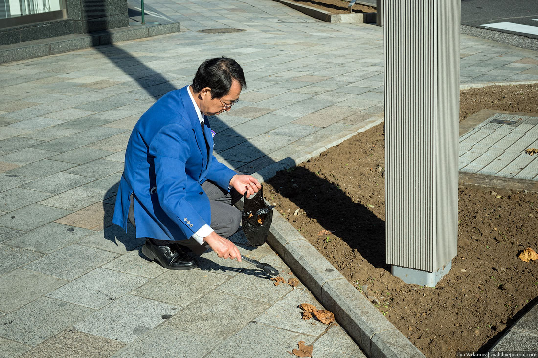 Прогулка, путешествие, Токио, Илья Варламов