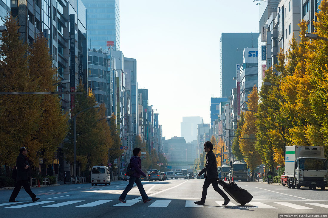 Прогулка, путешествие, Токио, Илья Варламов