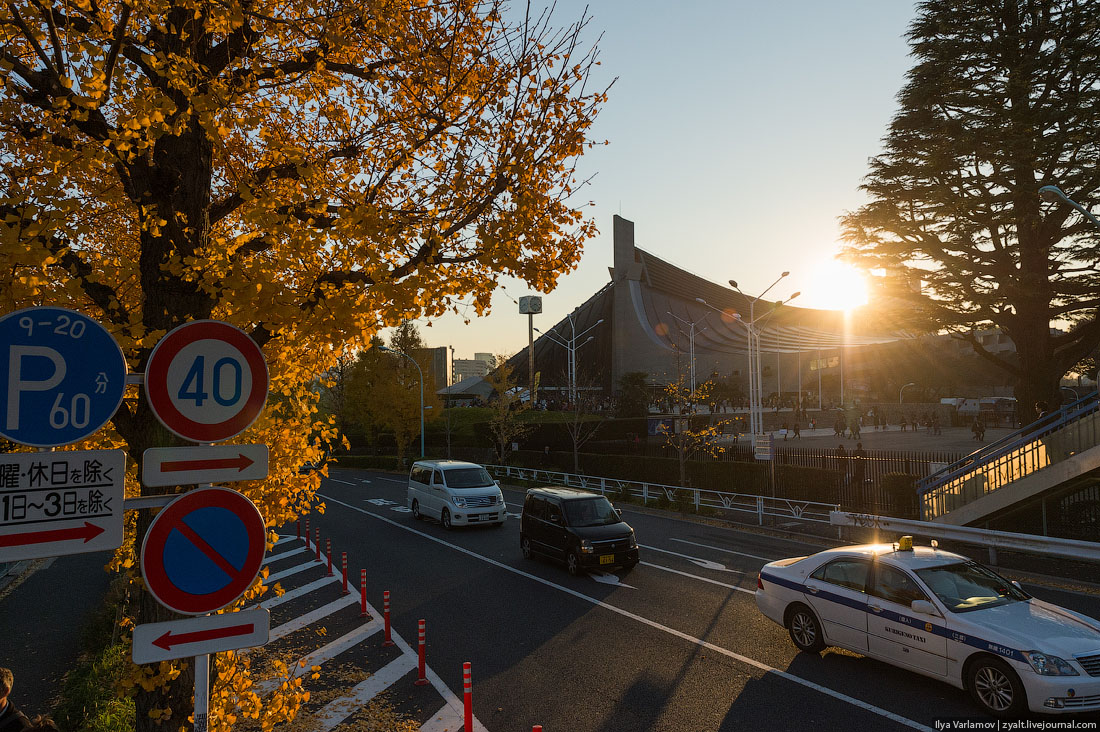 Прогулка, путешествие, Токио, Илья Варламов