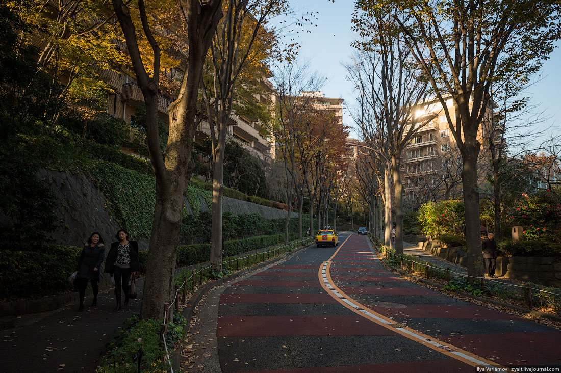 Прогулка, путешествие, Токио, Илья Варламов