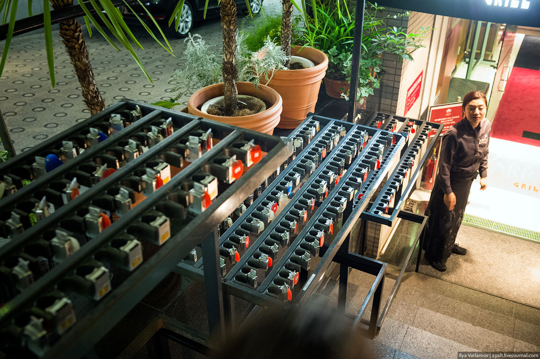 Прогулка, путешествие, Токио, Илья Варламов