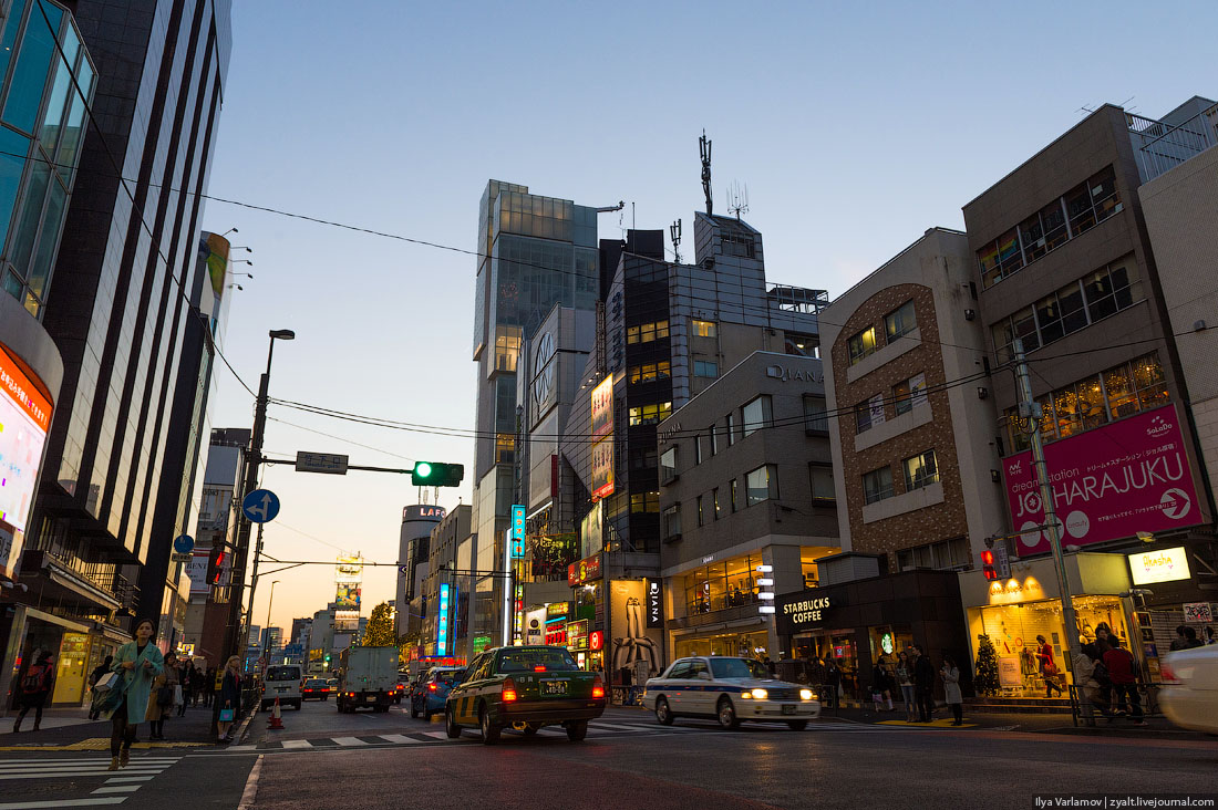 Прогулка, путешествие, Токио, Илья Варламов