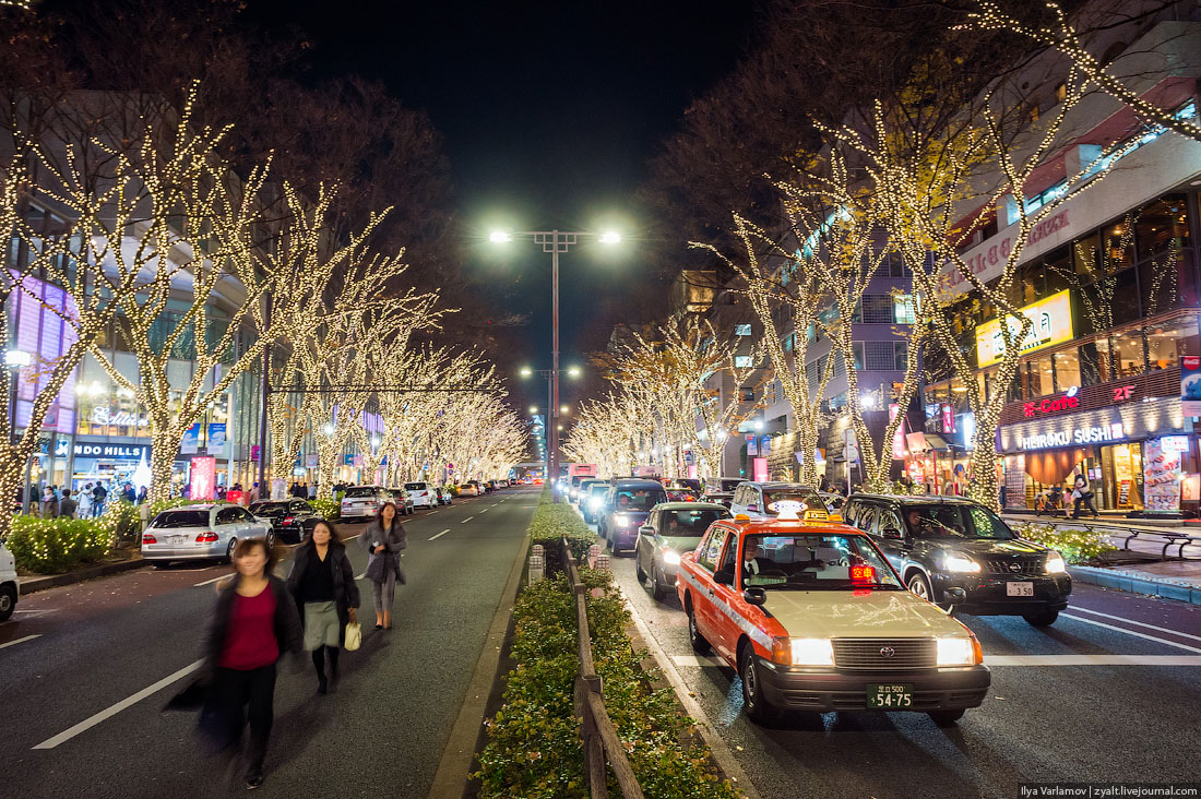 Прогулка, путешествие, Токио, Илья Варламов