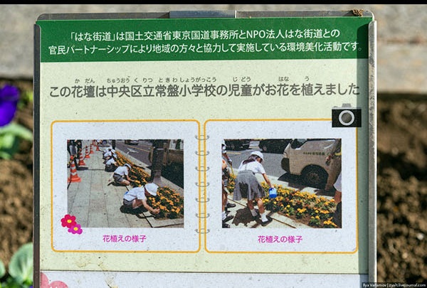 Прогулка, путешествие, Токио, Илья Варламов