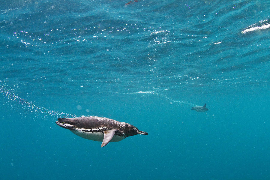 Природа с водой, места, фото, путешествия