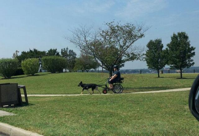 лентяи, бездельники, лень фото