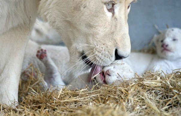 эмоциональные снимки, трогательные фотографии 