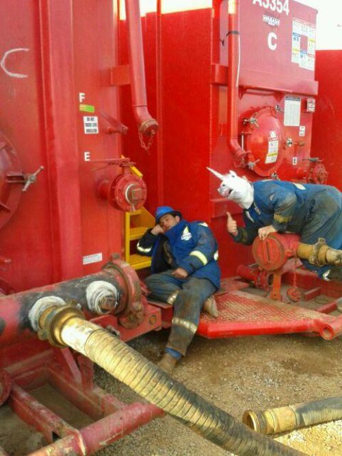 курьёзы на работе, приколы, рабочее место 