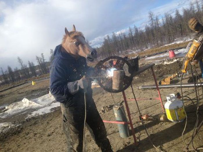 курьёзы на работе, приколы, рабочее место 