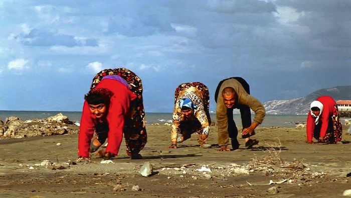 Интересные, удивительные факты, познавательное, 