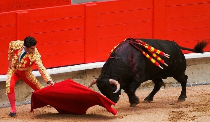 Интересные, удивительные факты, познавательное, 