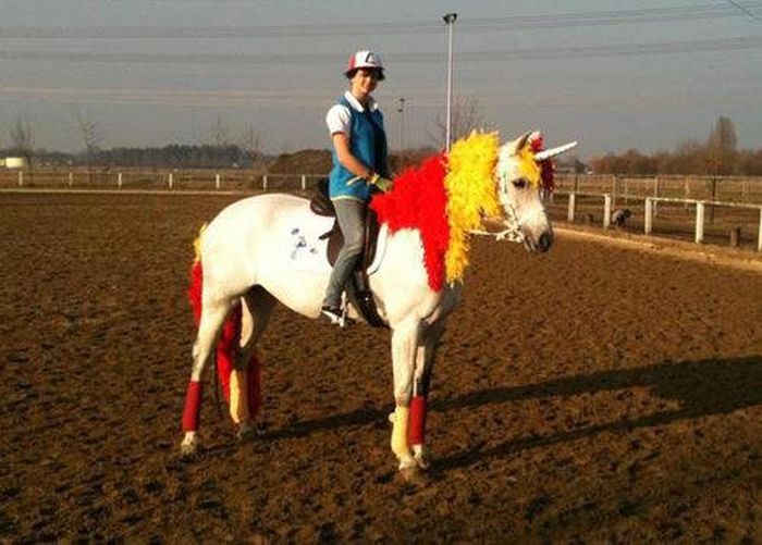 задроты, фанаты видеоигр, комиксы, девственники  