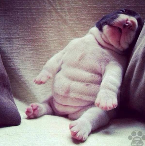 Фотографии сделанные в нужный момент XI в нужный момент, поймать кадр, лови момент