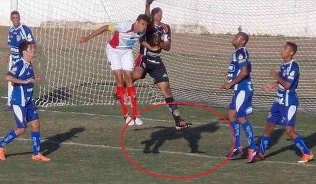 Фотографии сделанные в нужный момент XI в нужный момент, поймать кадр, лови момент