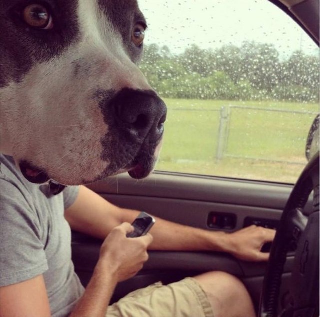 Фотографии сделанные в нужный момент XI в нужный момент, поймать кадр, лови момент