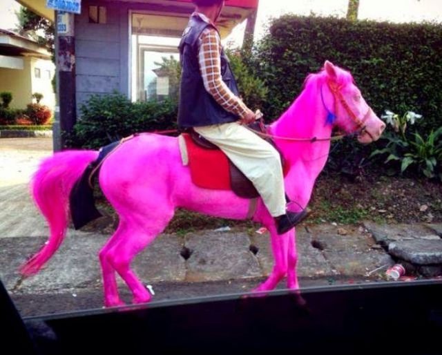 странные люди. странные поступки. человеческая глупость